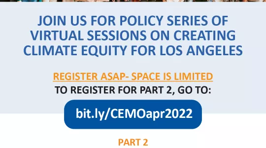 CEMO flyer