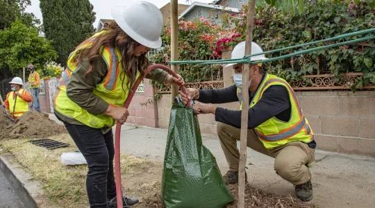 StreetsLA tree planting with President Garcia