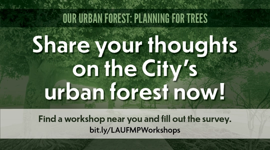 The background features trees lining a sidewalk with a green tint overlay. The text reads: Our Urban Forest: Planning for Trees. We want your feedback on trees in your community.