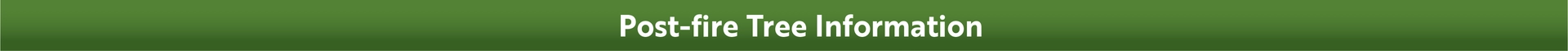 Post Wildfire Tree Care-header