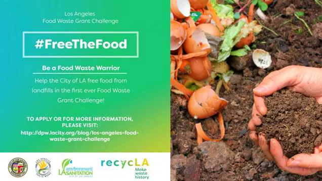 Food Waste