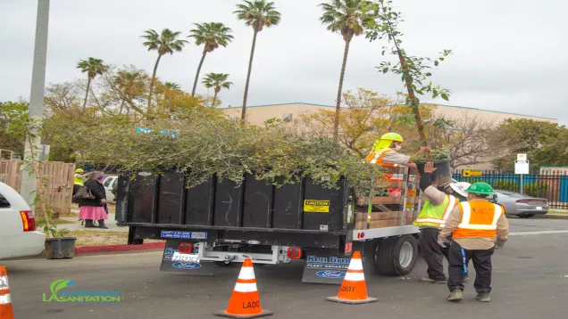 Workers in visi vests and hard hats taking trees for planting as street trees off a truck