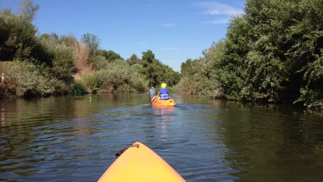 LA River Kayak